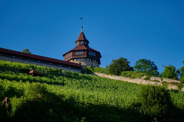 Die Esslinger Burg mit Dickem Turm, Hochwacht und dem treppenförmigen Burgaufgang oberhalb der Altstadt von Esslingen am Neckar